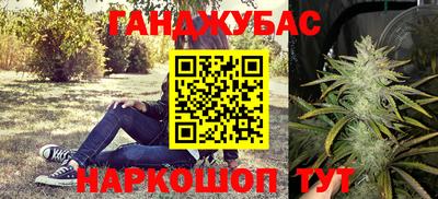 PSILOCYBIN Камышлов